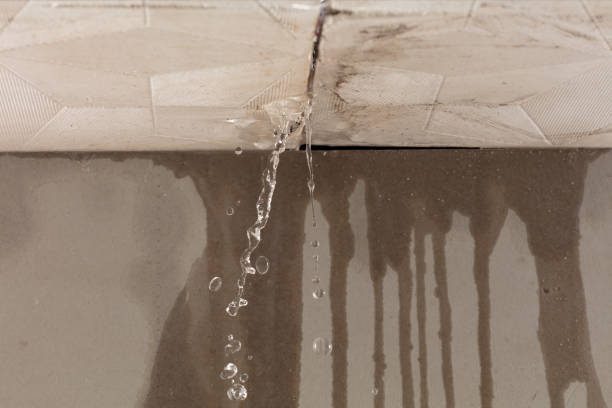 Professional Water Extraction technician working in Juliustown, NJ